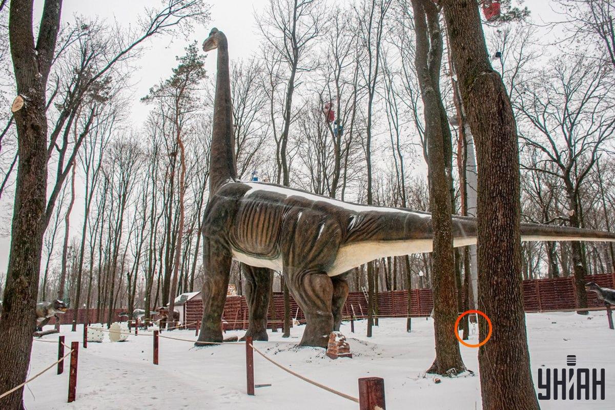 Pes sa nachádzal pri ľavom dolnom rohu obrázka / koláž Moje