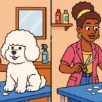 Kde sú tri rozdiely medzi ženami so psíkom: najťažšia hádanka