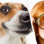 Len skutočný IQ titan uvidí psa na snehu za 10 sekúnd: dychberúci optický klam Len skutočný IQ titan uvidí psa na snehu za 10