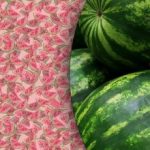 Nádherná optická ilúzia: len málokto nájde špeciálny melón za 10 sekúnd Nádherná optická ilúzia: len málokto nájde špeciálny melón za 10