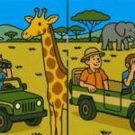 Super IQ test: nájdite 3 rozdiely na obrázku turistov za