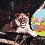 Túto úlohu zvládne len málokto: musíte nájsť leva v parku za 6 sekúnd. Túto úlohu zvládne len málokto: musíte nájsť leva v parku