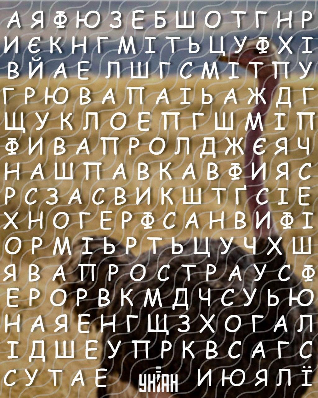 Iba ľudia s vysokým IQ dokážu nájsť slovo Iba ľudia s vysokým IQ dokážu nájsť slovo