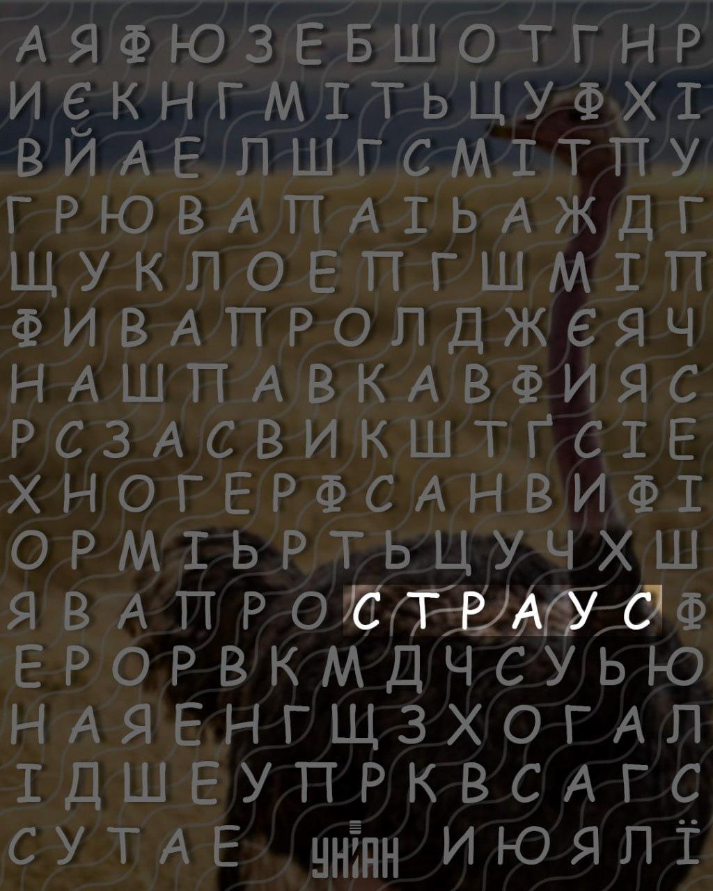 Iba ľudia s vysokým IQ dokážu nájsť slovo Iba ľudia s vysokým IQ dokážu nájsť slovo