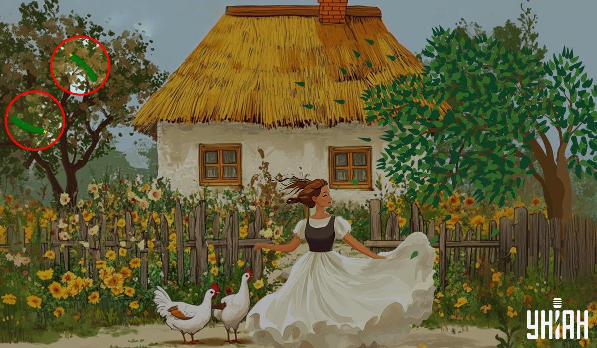 odpoveď / Moje foto