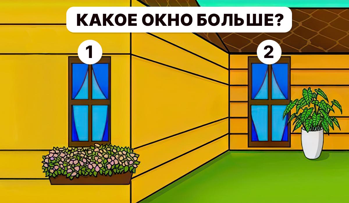 Je potrebné pochopiť, ktoré okno je väčšie / koláž Moje