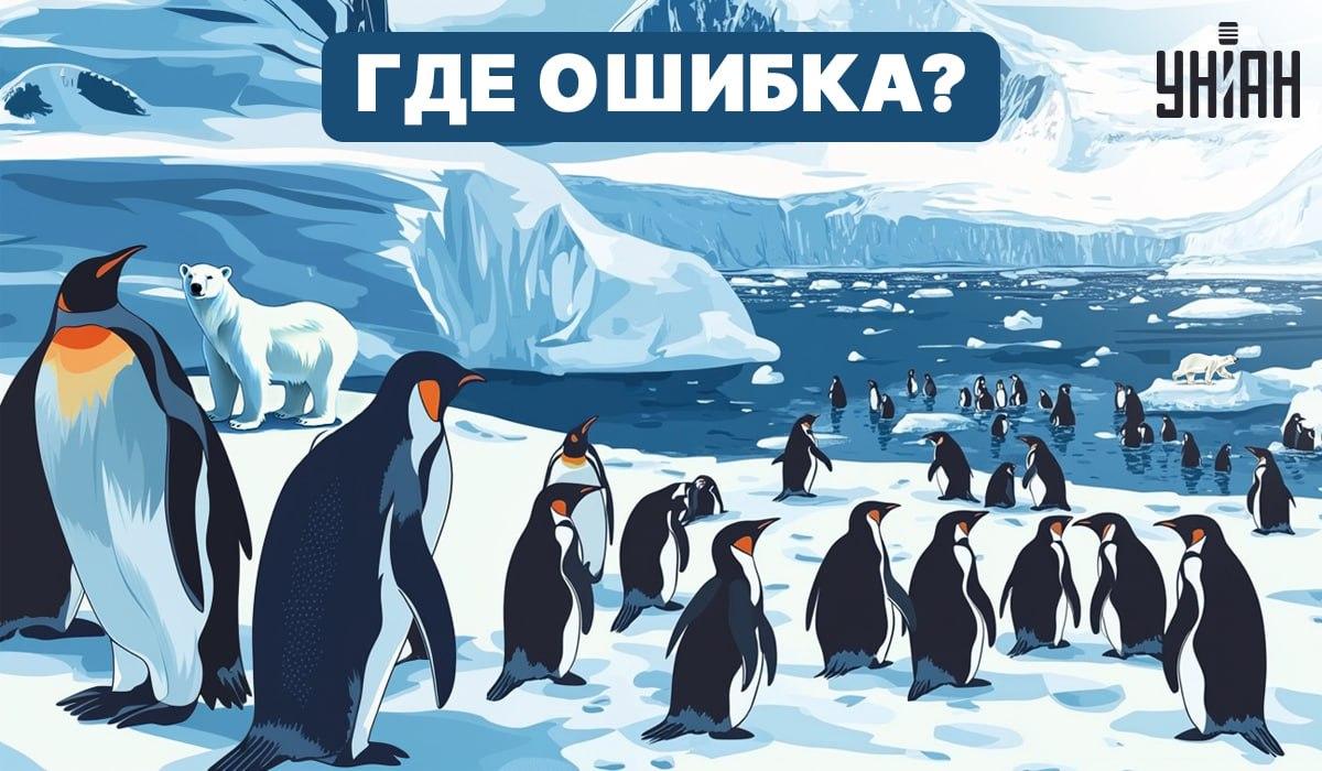 Podarí sa vám zistiť, čo je na obrázku nesprávne? / Moje