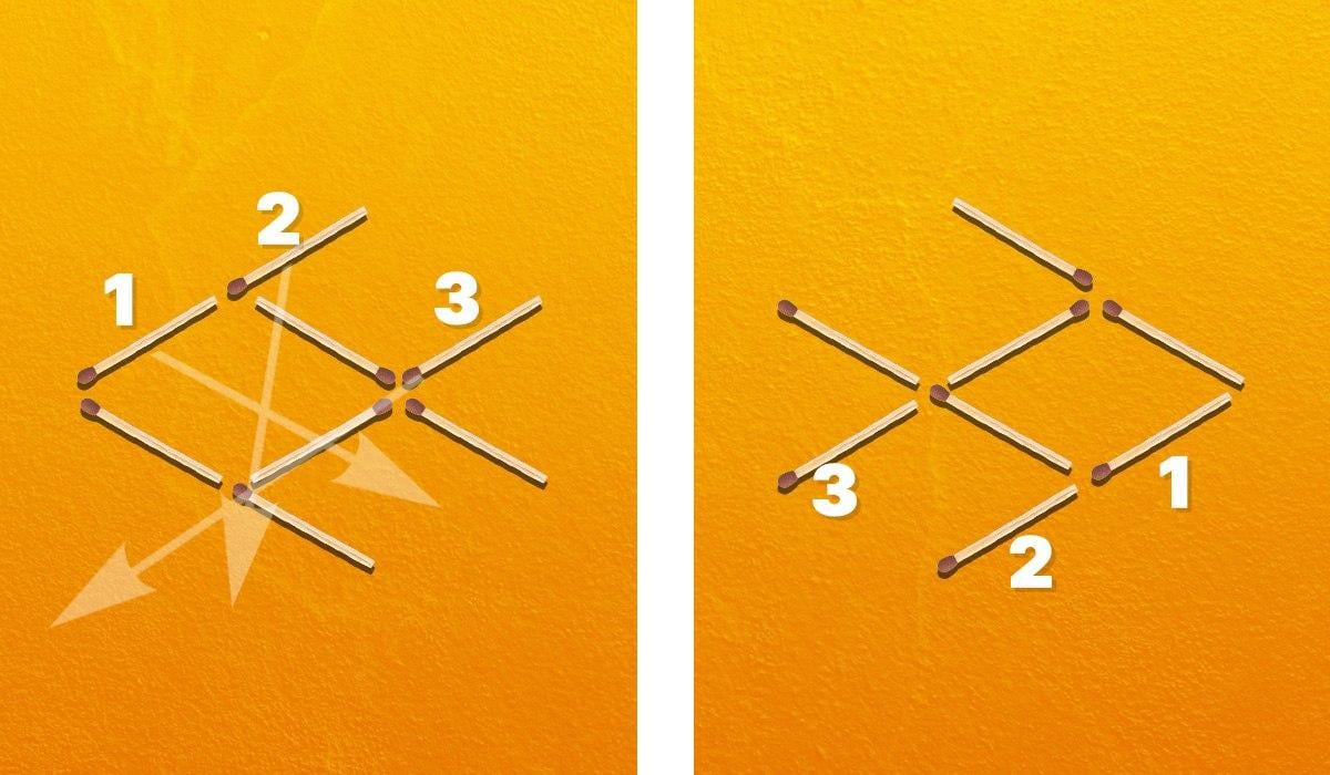 Musíte presunúť tri zápalky, aby sa ryba otočila doprava / koláž Moje