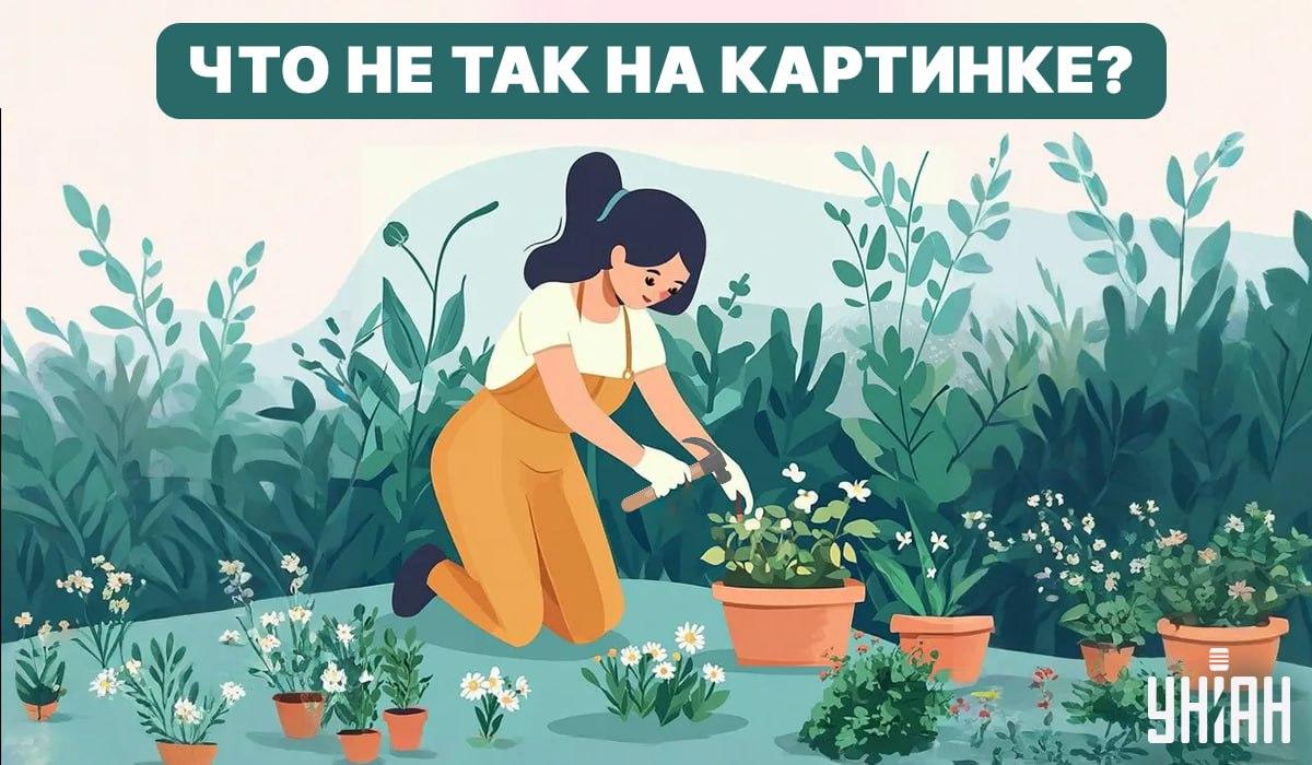 Pokúste sa nájsť chybu / Koláž - Moje