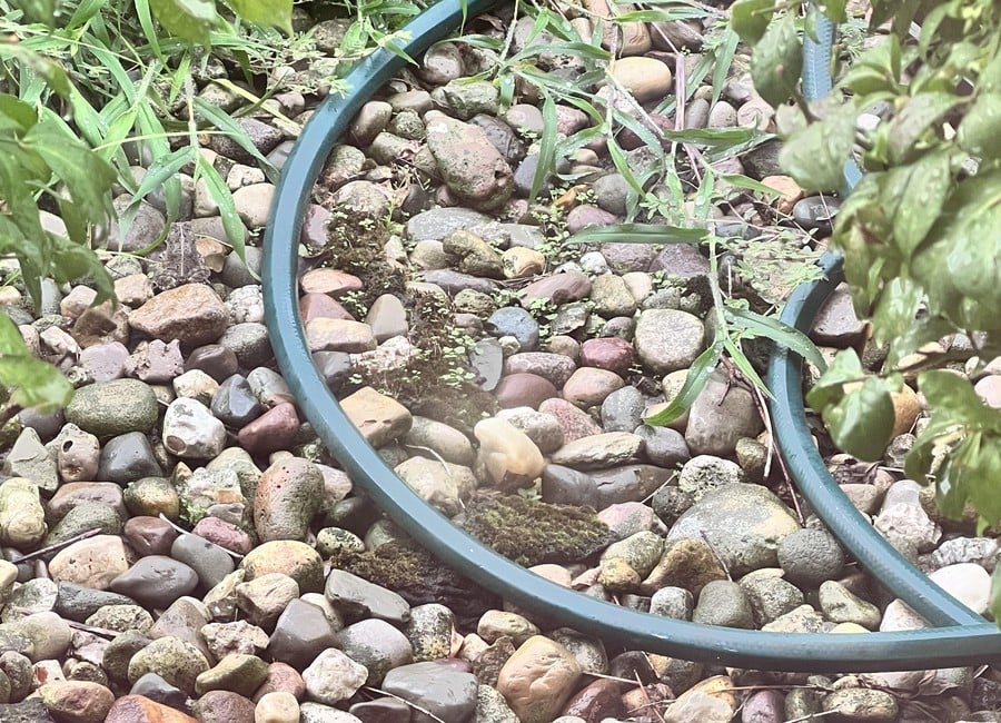 Optická ilúzia: Nájdite skrytú žabu