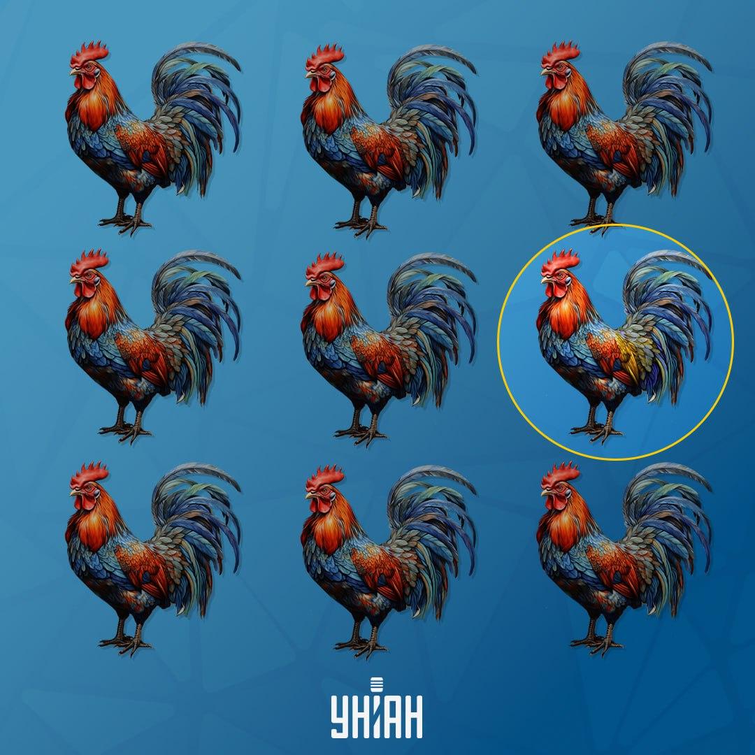 Kohút, ktorý sa líši od ostatných, bol vľavo / koláž Moje