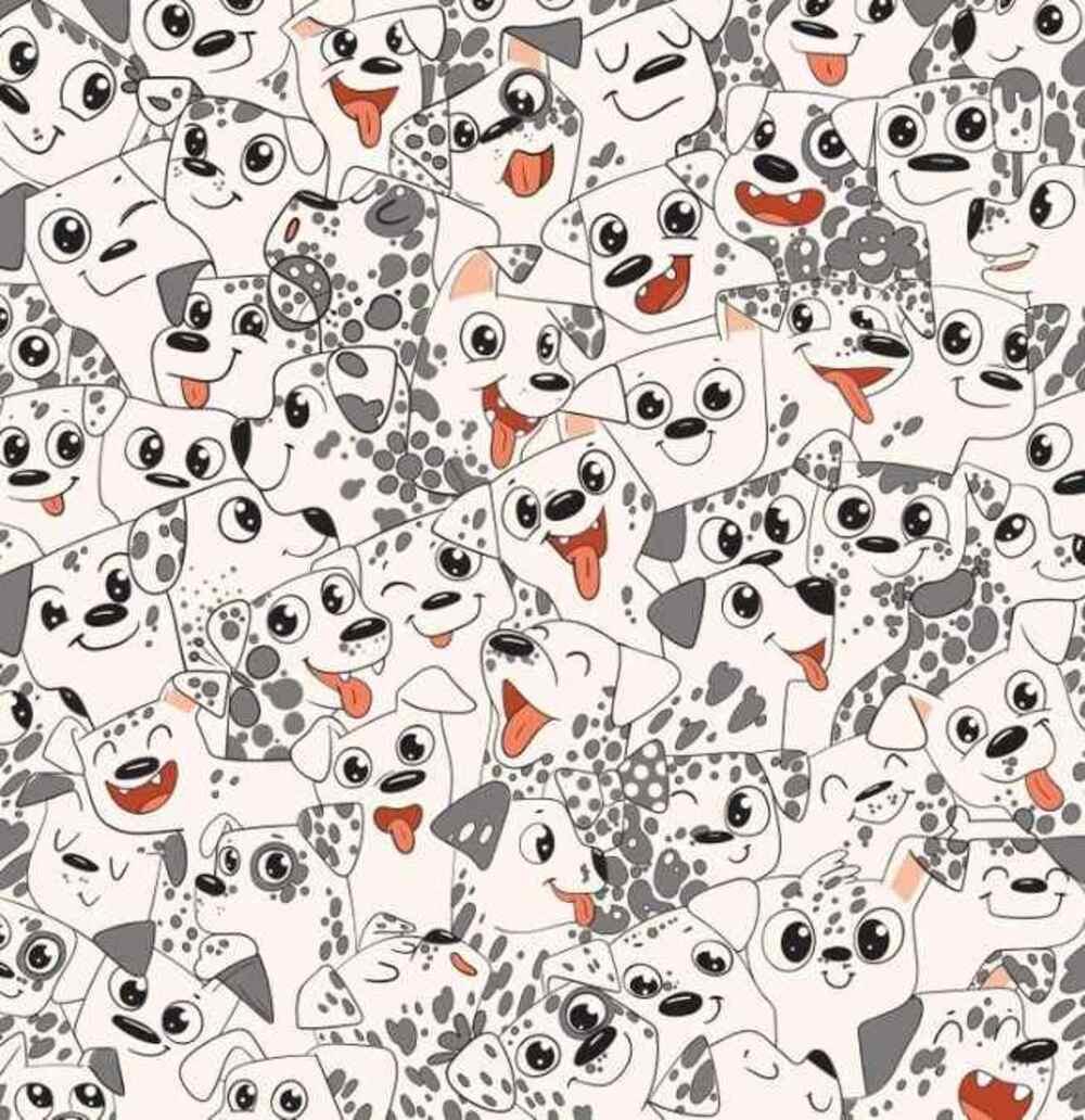 Pokúste sa nájsť motýľa čo najrýchlejšie / kresba Brightside