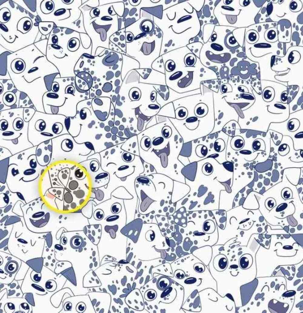 Motýľ bol na pravej strane / Brightside drawing