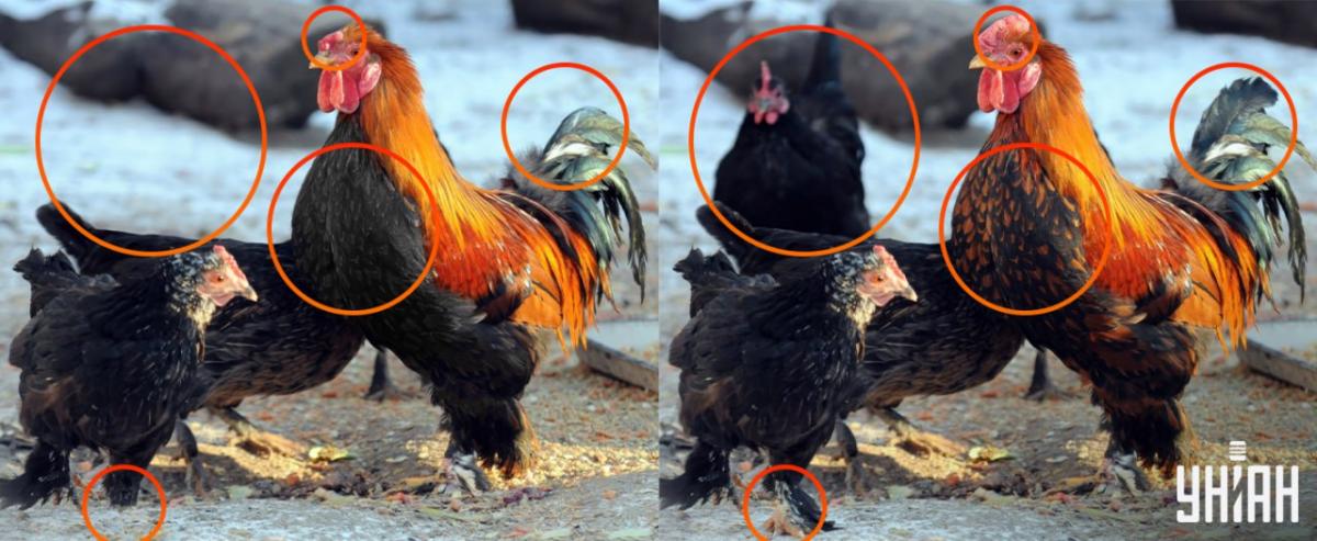 Bolo potrebné venovať pozornosť malým detailom / koláž Moje