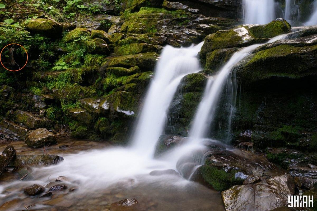 Odpoveď na hádanku s líškou - kde presne sa zviera skrýva / koláž Moje, foto Moje