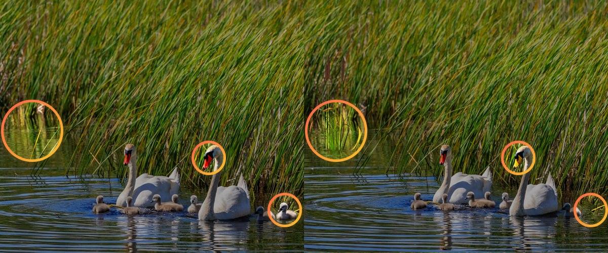 Na zvládnutie skladačky bolo potrebné venovať pozornosť malým detailom / koláž Moje