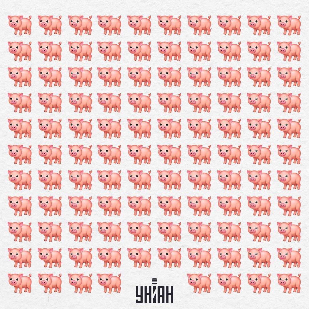 Naše prasiatko je niekde tam vonku, len tak ľahko nám nepadne do oka / Moje Collage