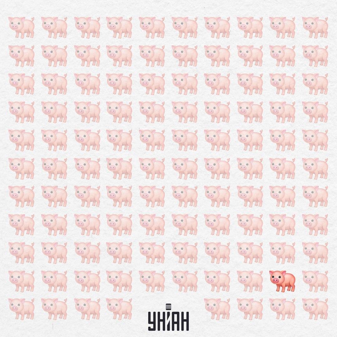 Toto prasiatko je naozaj zvláštne, nemá ružový chvost / Koláž Moje