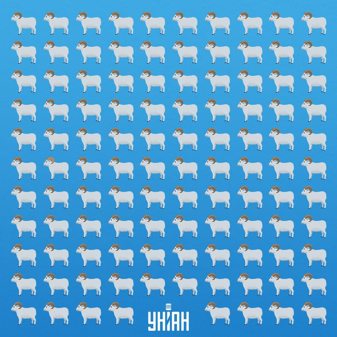 Na to, aby ste si prezreli toto zákerné zviera, máte 7 sekúnd / Moje Collage