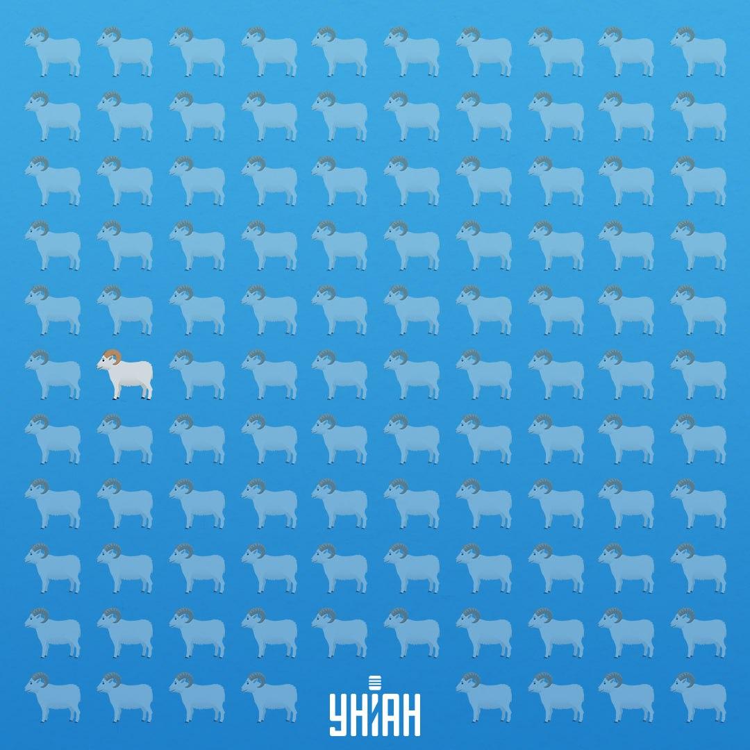 Bol v siedmom rade na ľavej strane / Koláž Moje