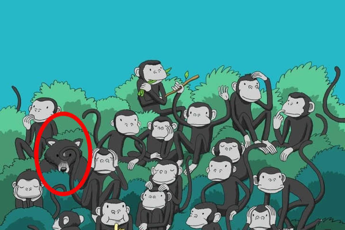 Pokúste sa vyriešiť hádanku za niekoľko sekúnd / Bright Side drawing