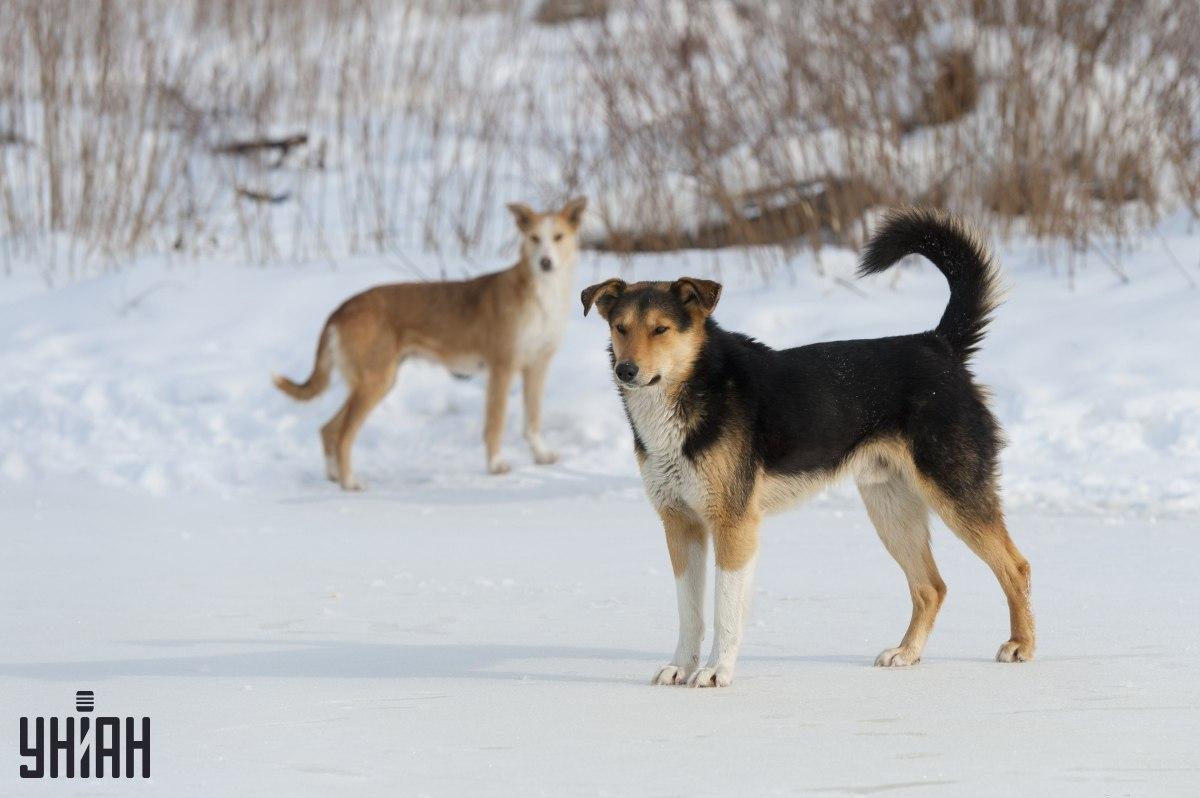 Pokúste sa za 8 sekúnd pochopiť, čo nie je v poriadku na fotografickej skladačke / koláži z fotografie Moje
