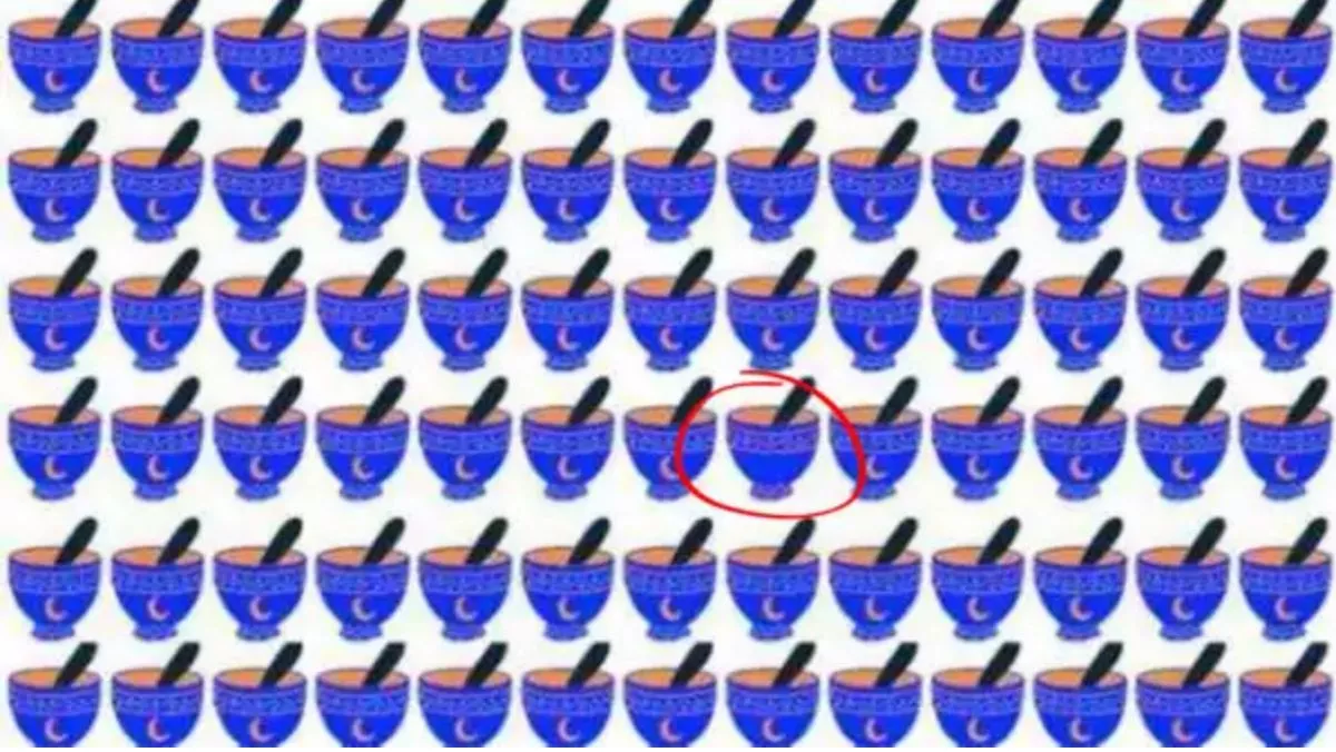 Správna odpoveď na hádanku 