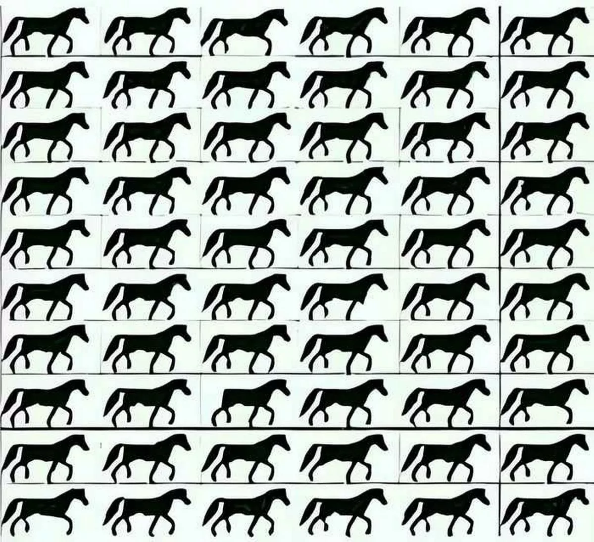 Dokážete vyriešiť hádanku za 5 sekúnd? 