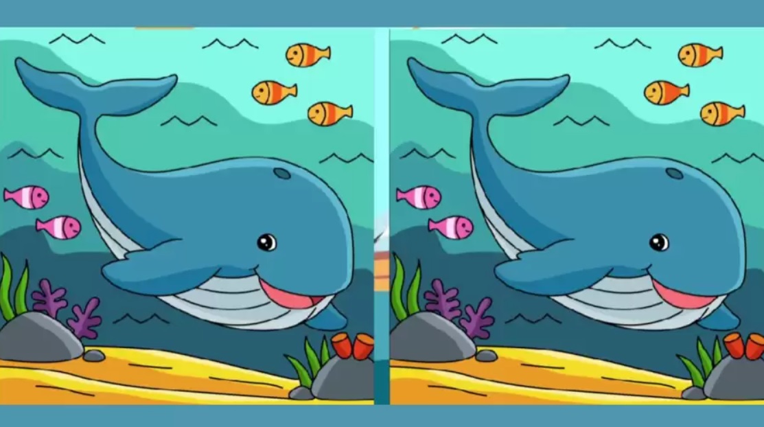 Rozdiely na obrázku nájde len 30 % z vás: tento optický klam vám zamotá hlavu