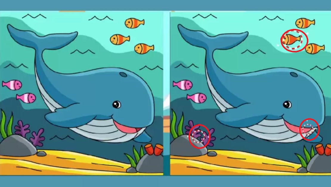 Iba 30 % nájde rozdiely na obrázku: tento optický klam vám zamotá hlavu