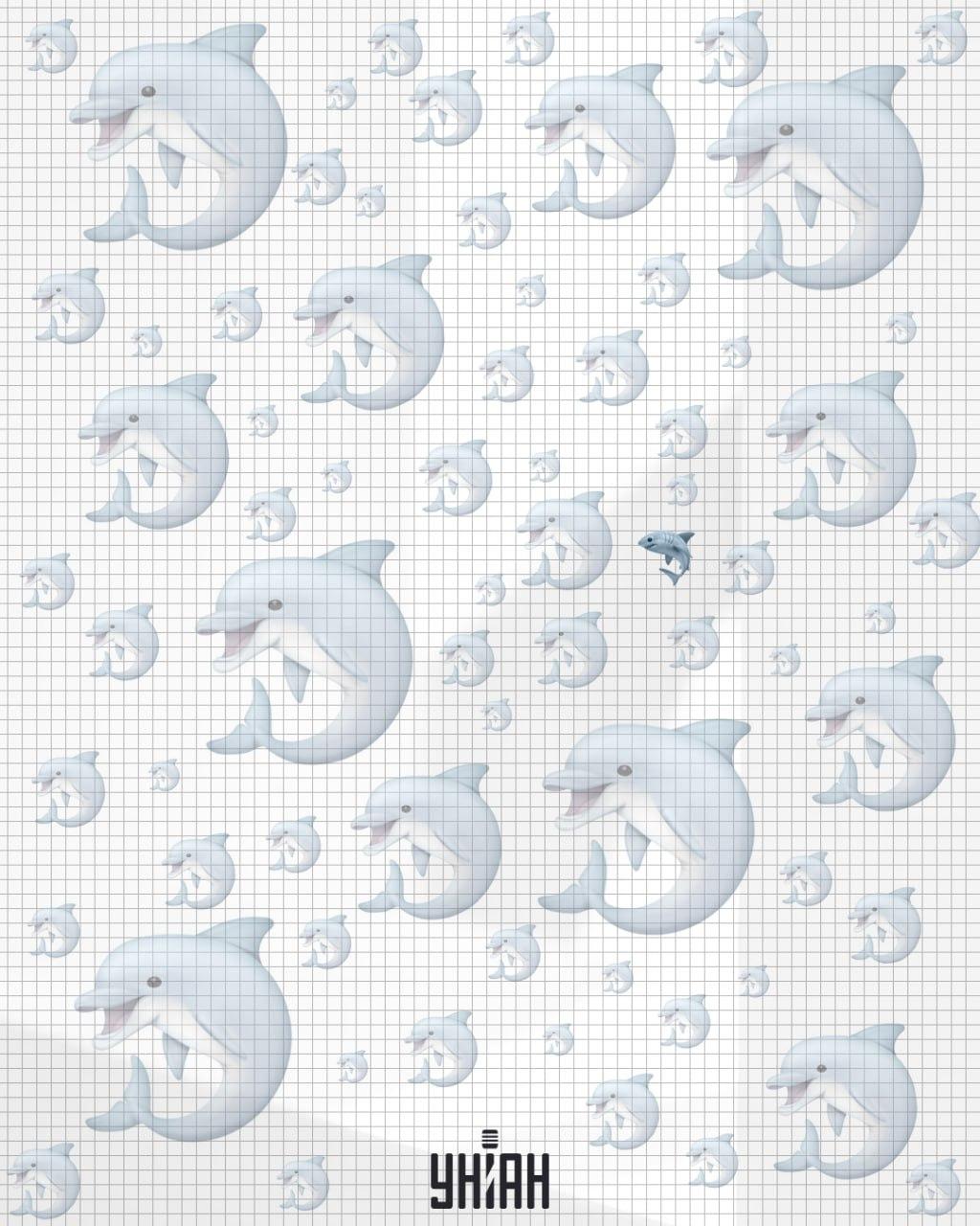 Žralok sa nachádzal blízko stredu snímky / koláž Moje