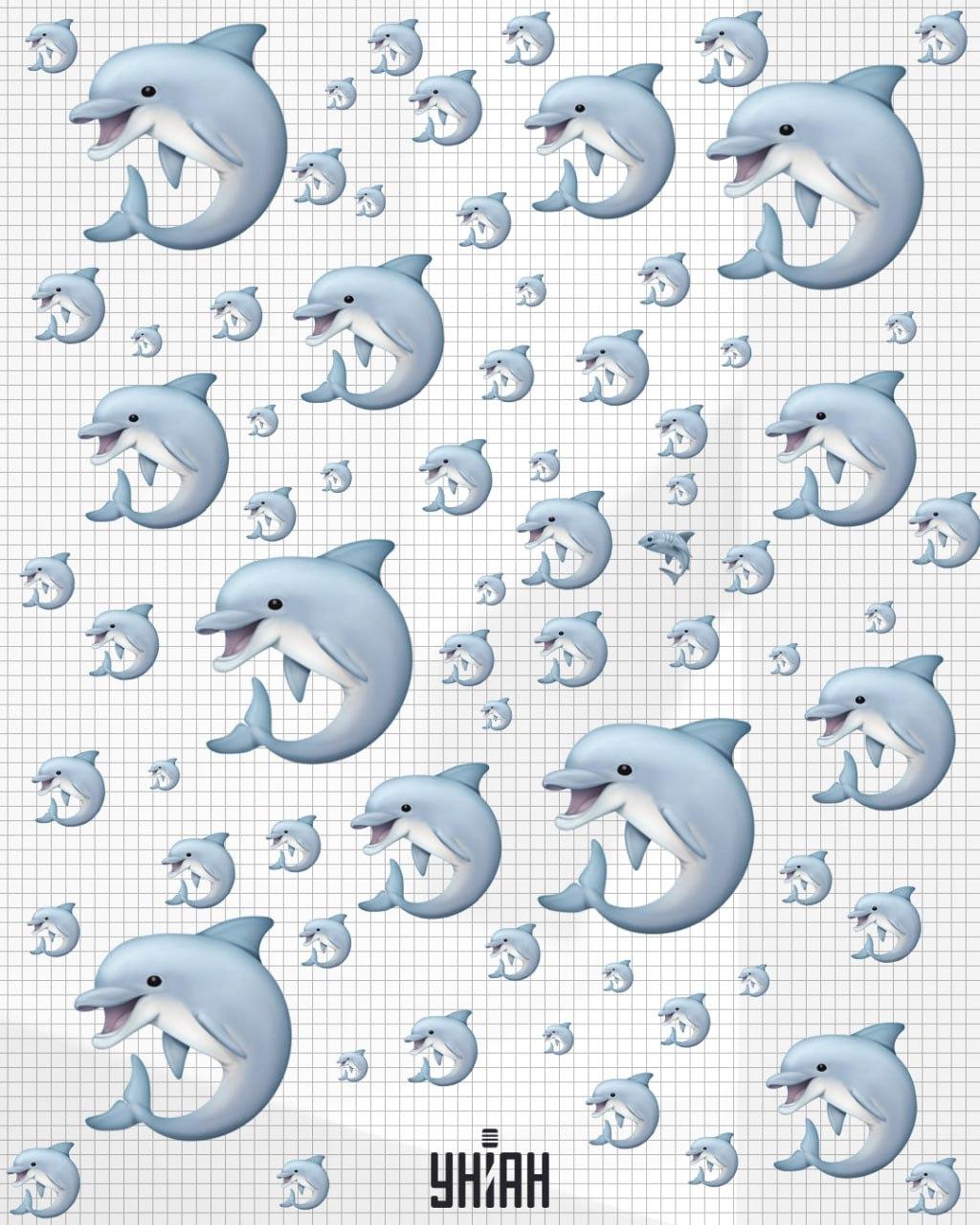 Nájsť žraloka trvá menej ako 10 sekúnd / koláž Moje