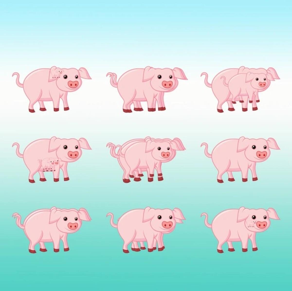 Ak hádanku dokončíte rýchlo, máte vysoké IQ / Bright Side drawing