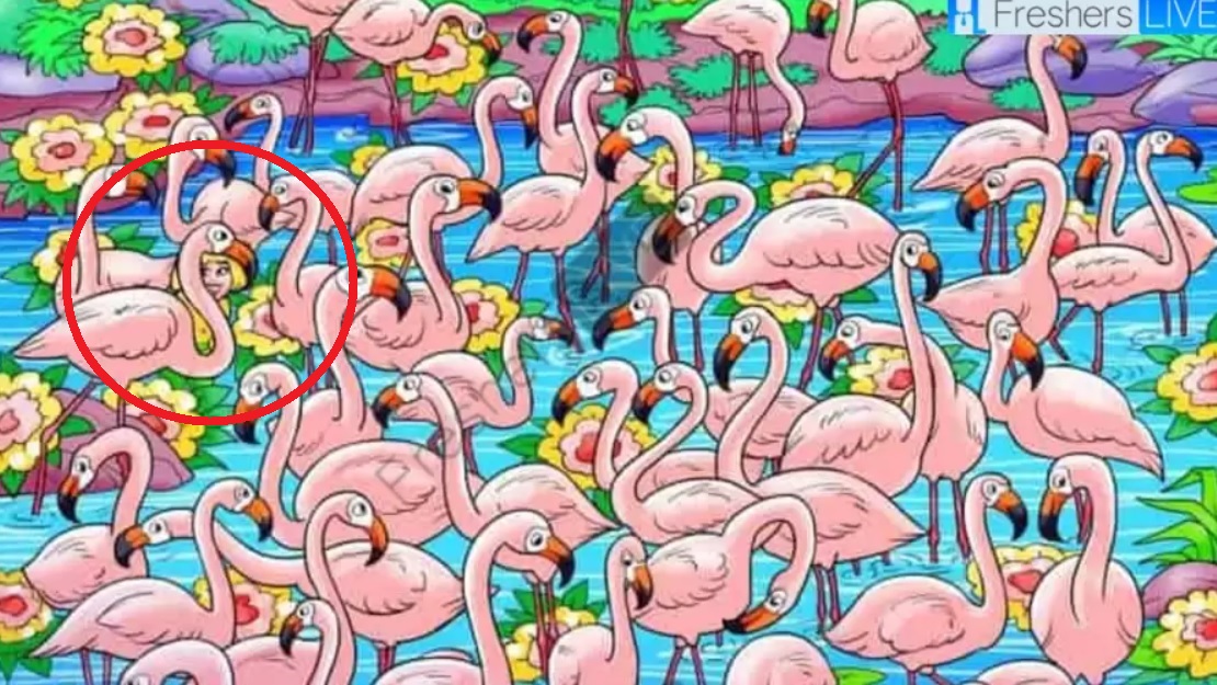 Nájdite dievča medzi plameniakmi za 8 sekúnd: z tejto hádanky sa vám zatočí hlava