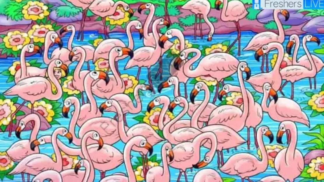 Nájdite dievča medzi plameniakmi za 8 sekúnd: táto hádanka vám zamotá hlavu