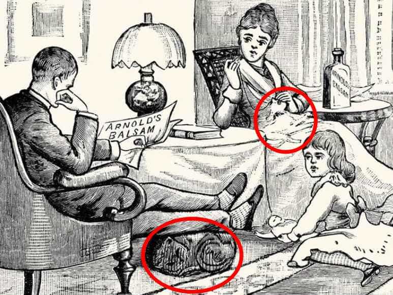 Optická ilúzia pre najpozornejších: musíte nájsť dve mačky za 7 sekúnd