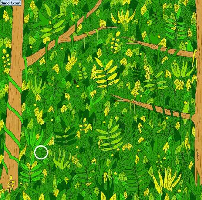 Správna odpoveď na hádanku 