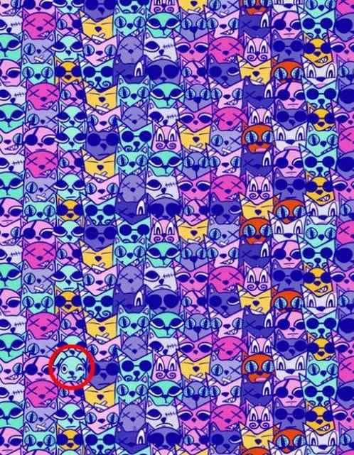 Nápoveda pes mačka pes