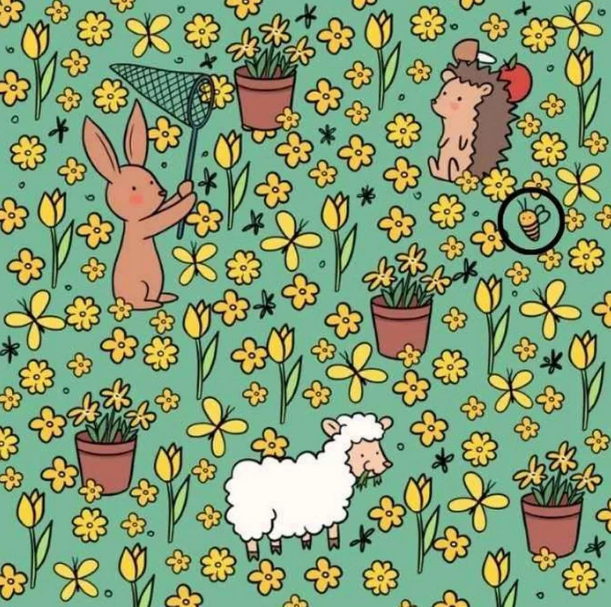 Správna odpoveď na hádanku 