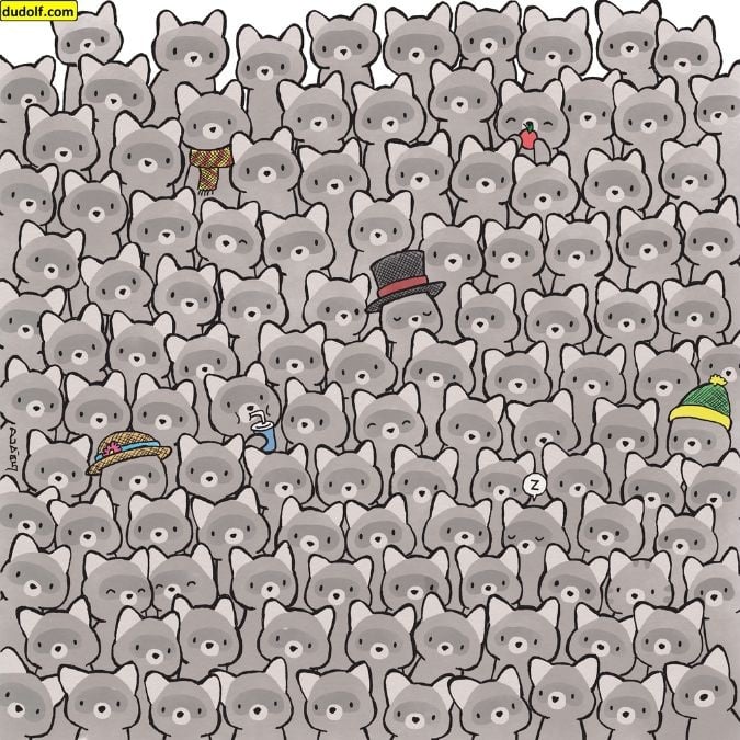 Hádanka pre skutočných géniov: nájdite mačku medzi mývalmi za 15 sekúnd