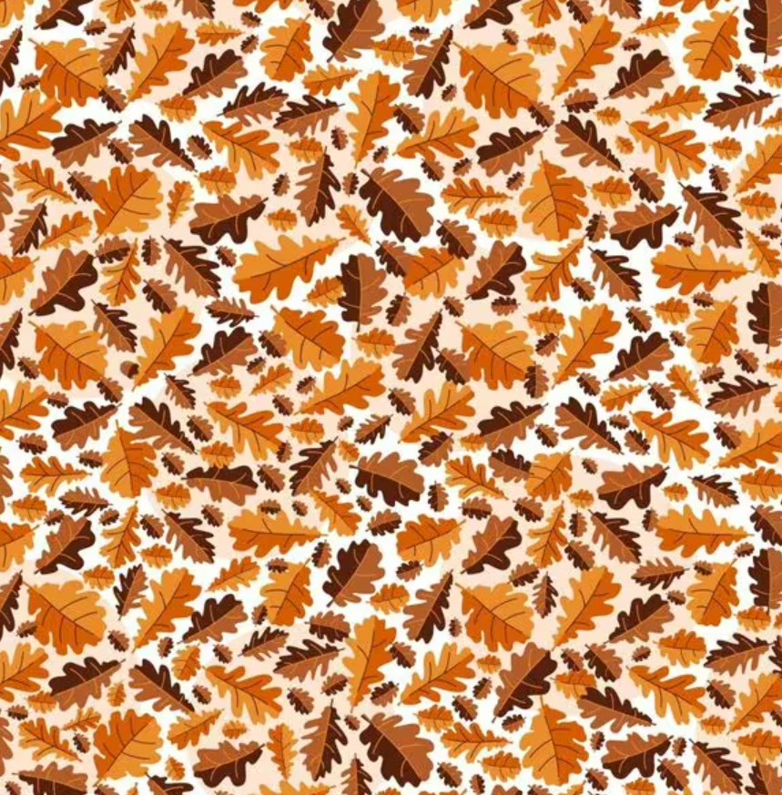 Hádanka - musíte nájsť žaluď v priebehu niekoľkých sekúnd