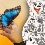 Dokáže to len málokto: len géniovia dokážu nájsť motýľa medzi