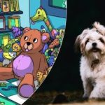 Dokáže to len málokto: len skutočný detektív dokáže nájsť šteňa