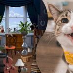 Hádanka pre najpozornejších: na mätúcom obrázku musíte nájsť 2 mačky. Hádanka pre najpozornejších: na mätúcom obrázku musíte nájsť 2 mačky.