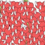 Hádanka pre orlie oči: nájdite čerešňu bez červíka za 30