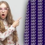 Hádanka pre skutočných detektívov: musíte nájsť číslo 337 v mori