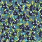 Hádanka pre tých, ktorí majú orlí zrak: za 8 sekúnd