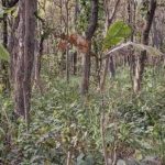 Hádanka pre tých, ktorí majú výborný zrak: za 10 sekúnd