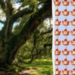 Iba 2 percentá géniov nájdu slovo "strom" za 10 sekúnd: úžasná logická hra Iba 2 percentá géniov nájdu slovo „strom“ za 10 sekúnd: