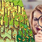 Iba ľudia s vysokým IQ nájdu na tejto optickej ilúzii hada medzi žirafami za 11 sekúnd Iba ľudia s vysokým IQ nájdu na tejto optickej ilúzii